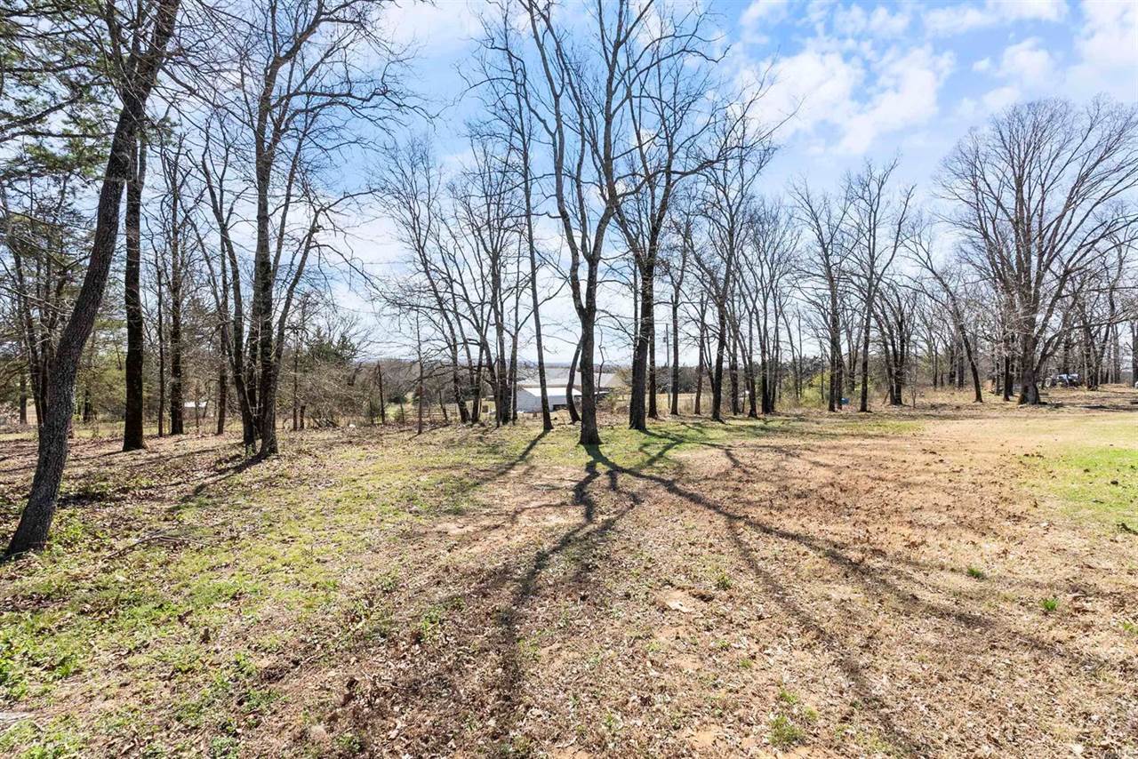 11 Hoggard Lane, Enola, AR 72047