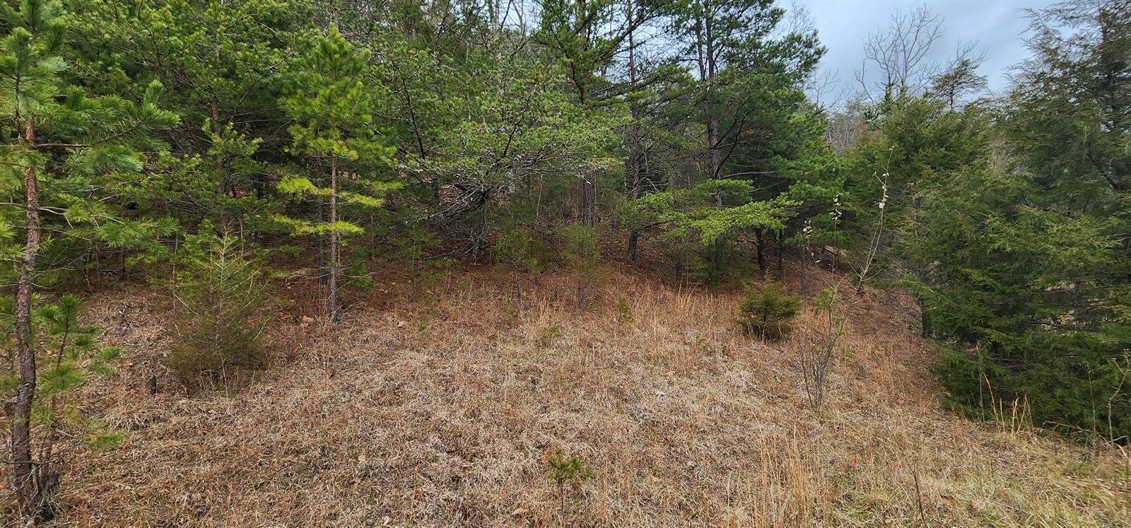 Lot 33 Johns Creek Rd, New Castle, VA 24127
