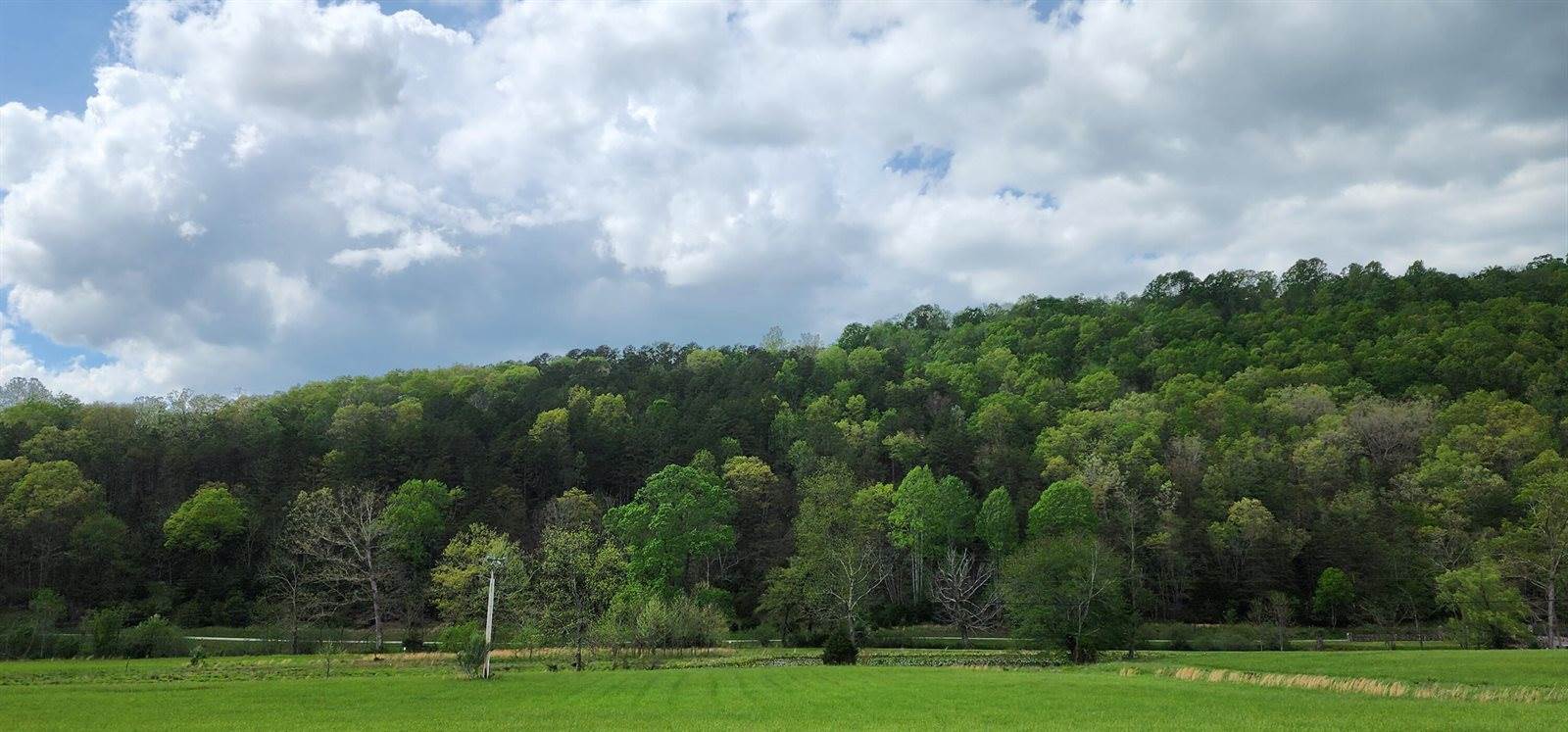 Lot 33 Johns Creek Rd, New Castle, VA 24127