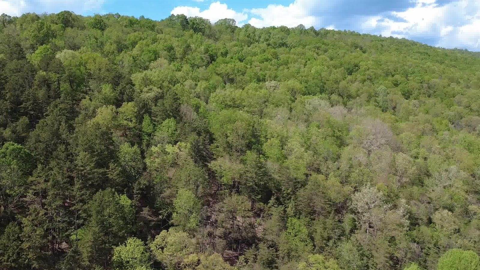 Lot 33 Johns Creek Rd, New Castle, VA 24127