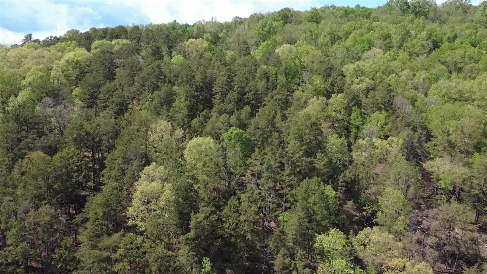 Lot 33 Johns Creek Rd, New Castle, VA 24127