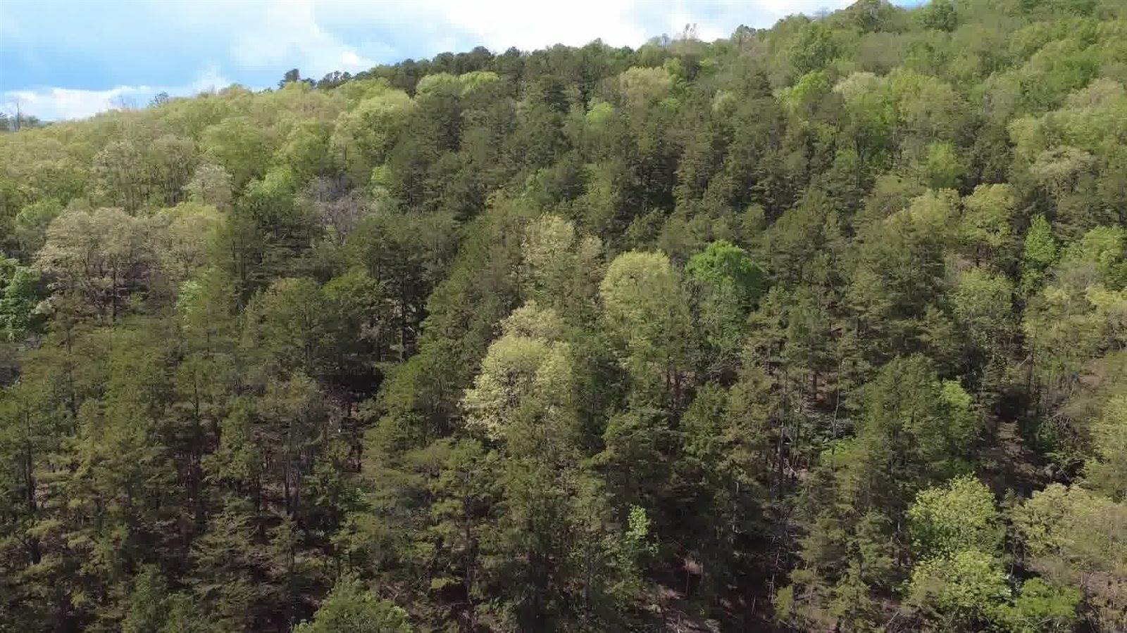 Lot 33 Johns Creek Rd, New Castle, VA 24127