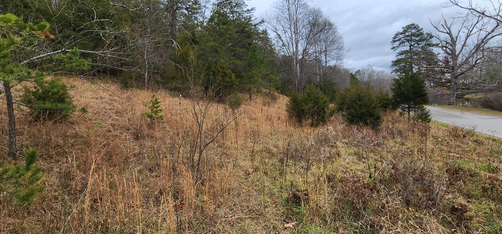 Lot 34 Johns Creek Rd, New Castle, VA 24127