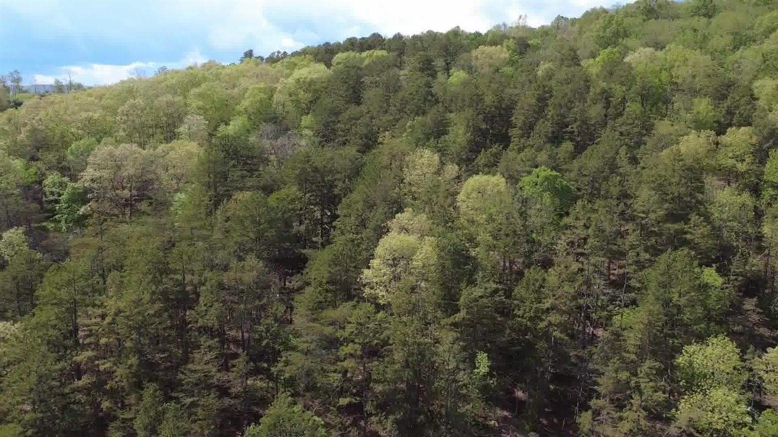 Lot 34 Johns Creek Rd, New Castle, VA 24127