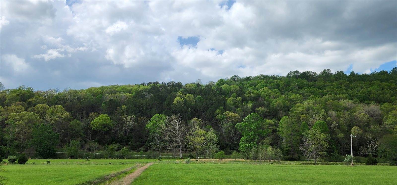 Lot 34 Johns Creek Rd, New Castle, VA 24127