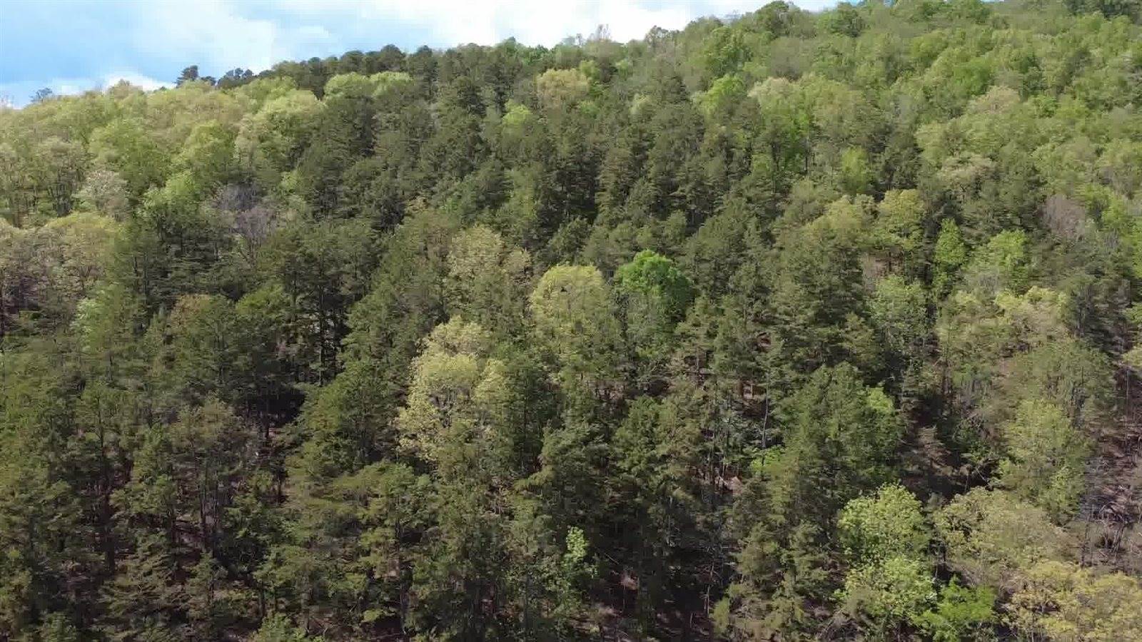 Lot 34 Johns Creek Rd, New Castle, VA 24127