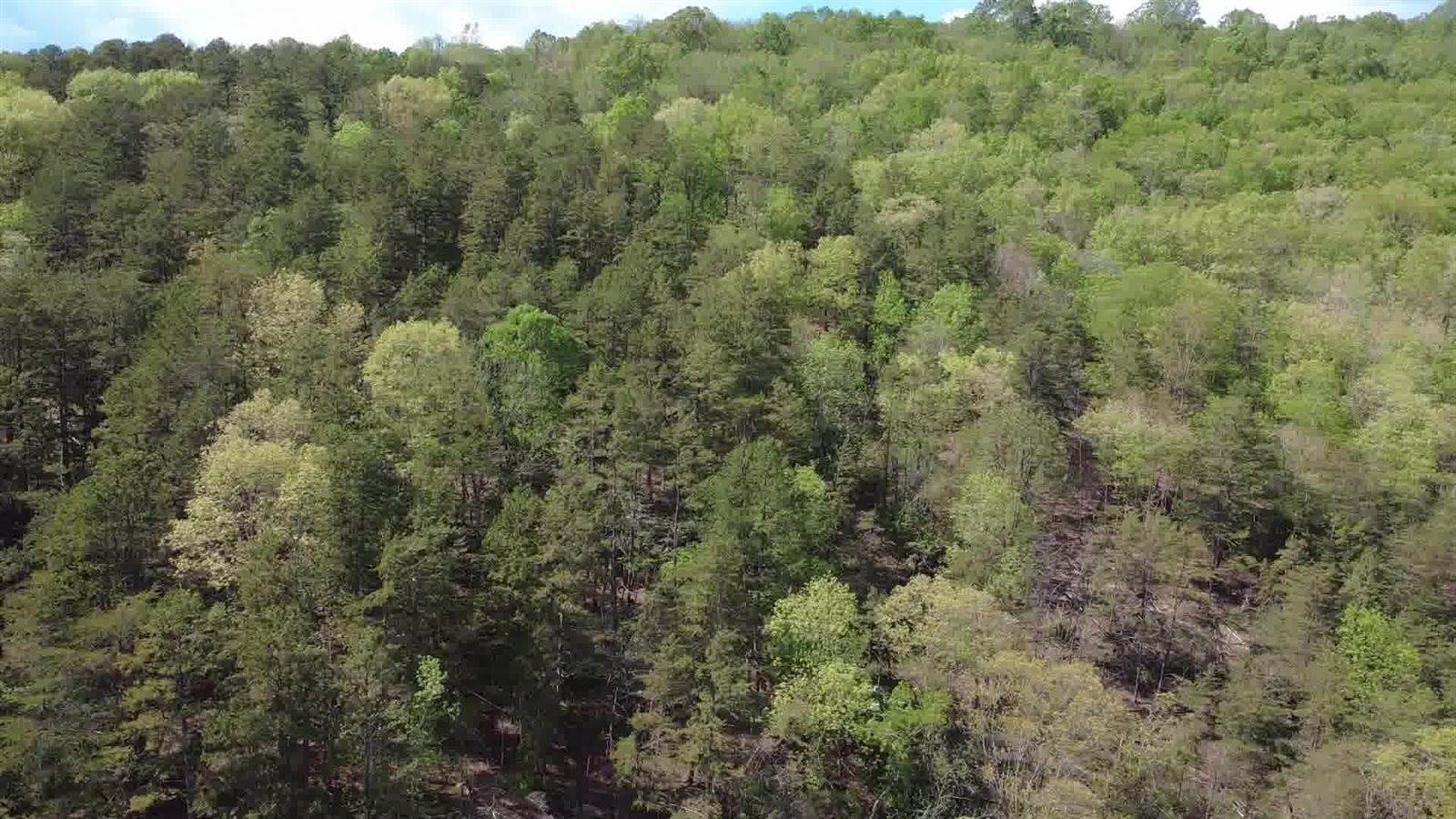 Lot 34 Johns Creek Rd, New Castle, VA 24127