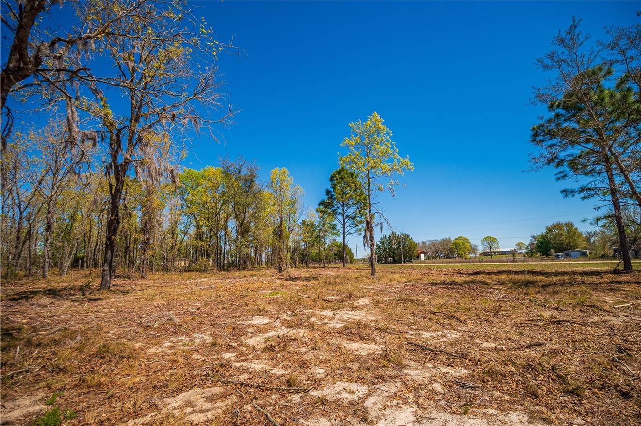 NE 118TH Terrace, Bronson, FL 32621