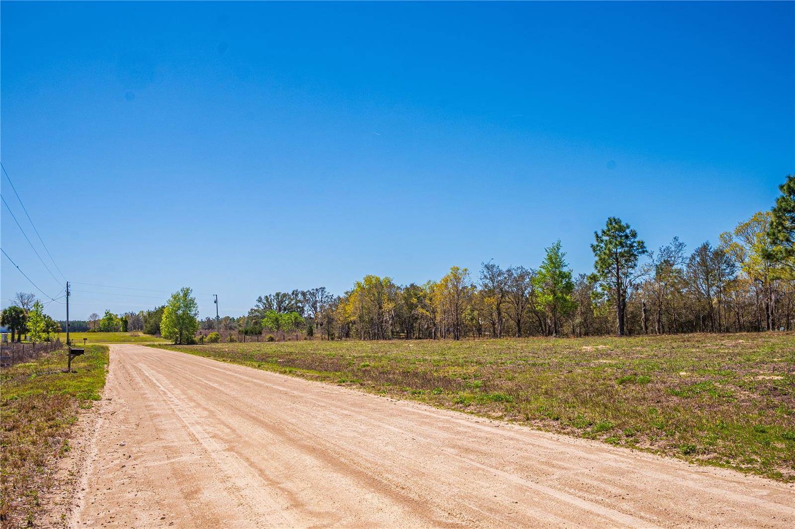 NE 118TH Terrace, Bronson, FL 32621