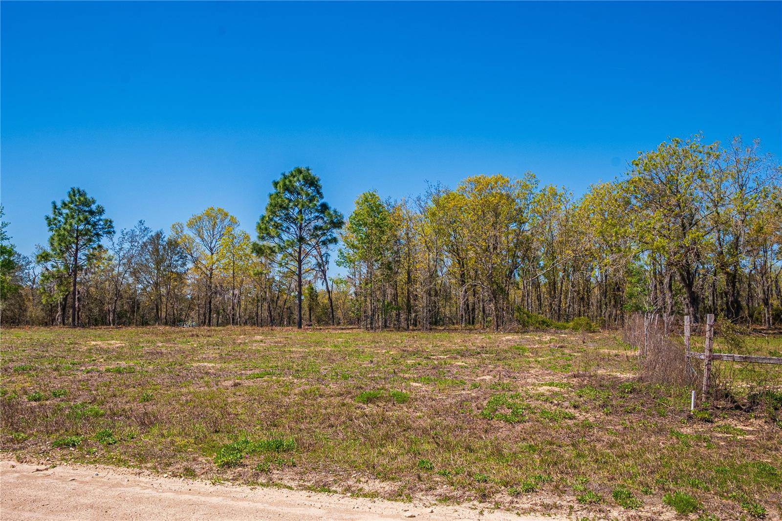 NE 118TH Terrace, Bronson, FL 32621