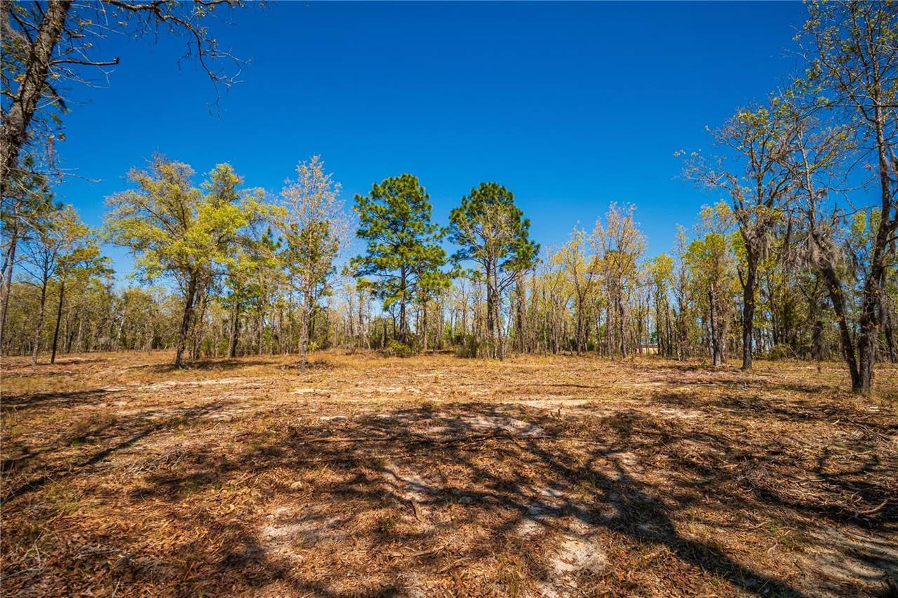 NE 118TH Terrace, Bronson, FL 32621