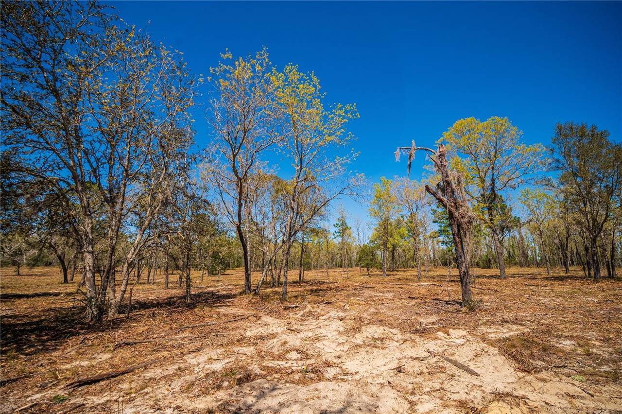NE 118TH Terrace, Bronson, FL 32621