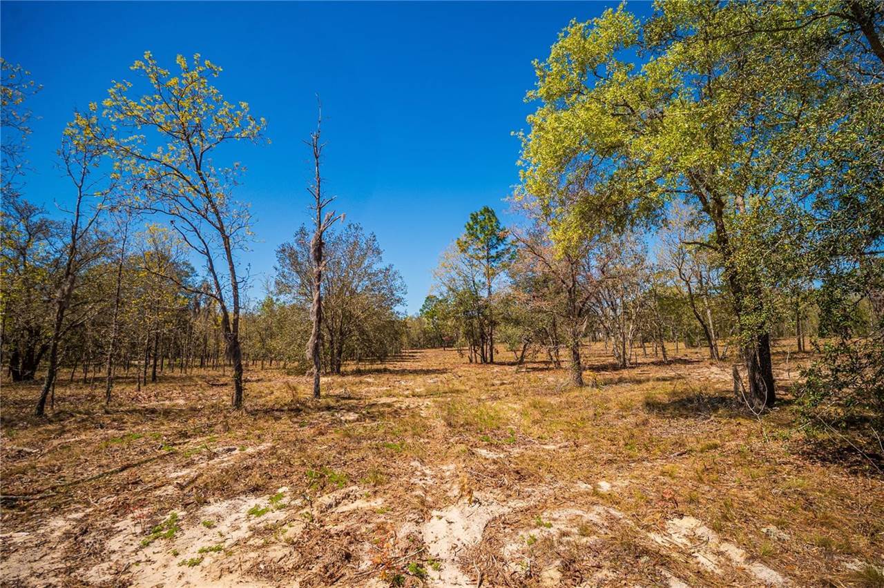NE 118TH Terrace, Bronson, FL 32621