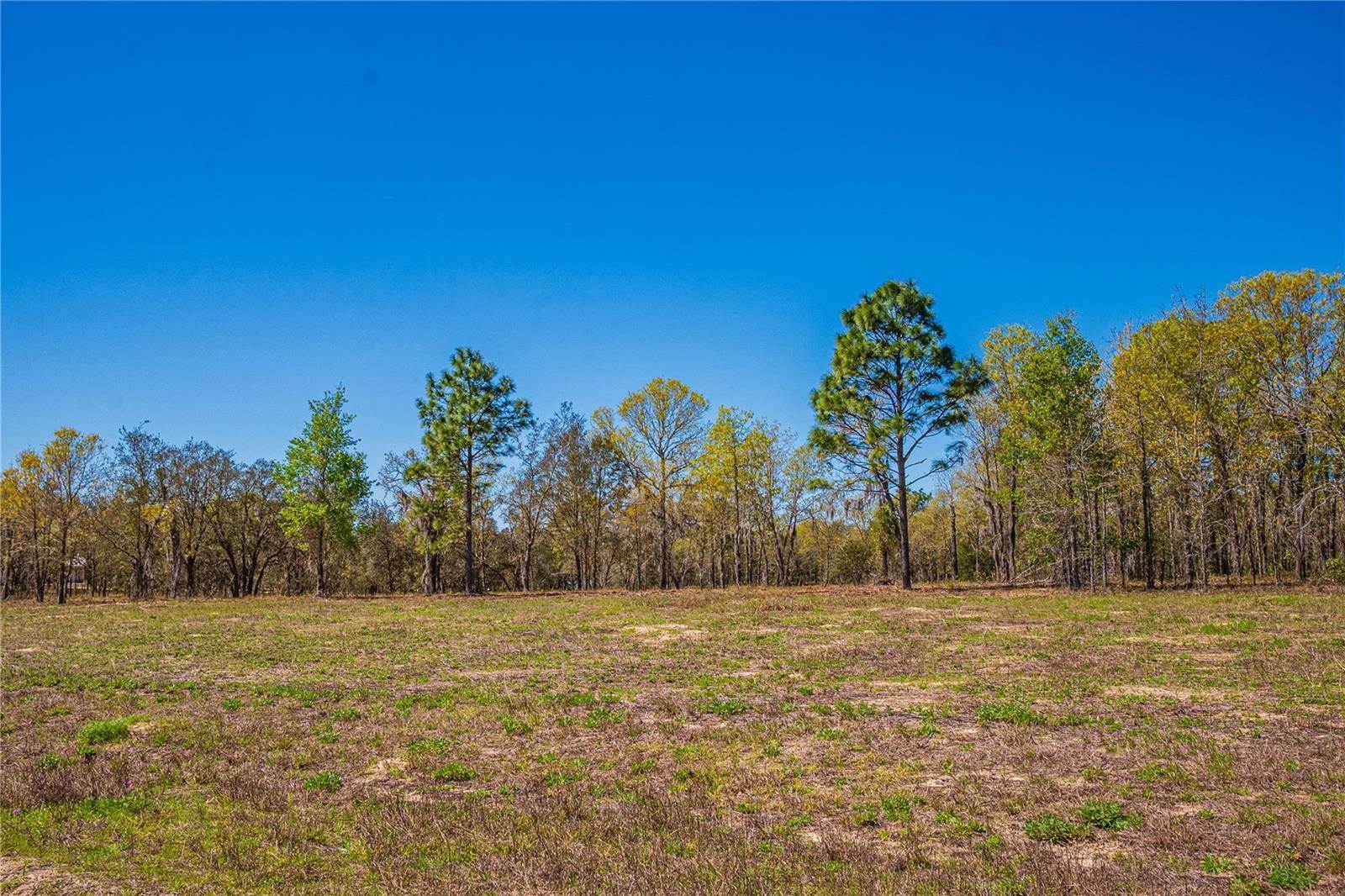 NE 118TH Terrace, Bronson, FL 32621