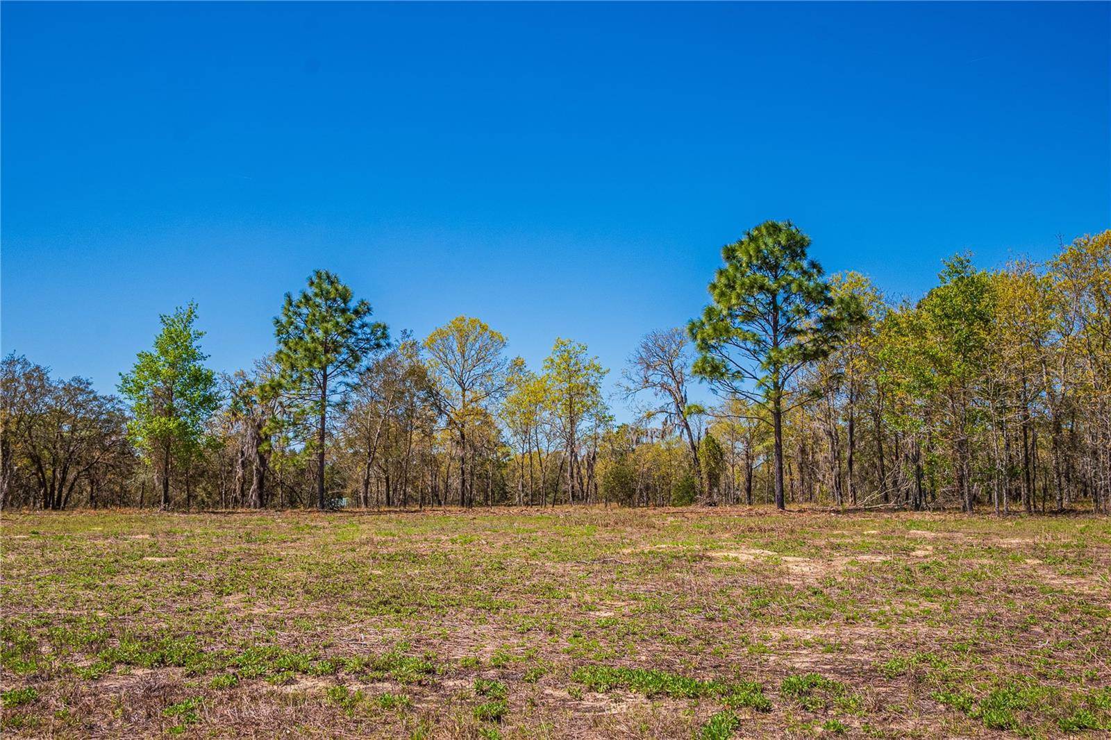 NE 118TH Terrace, Bronson, FL 32621