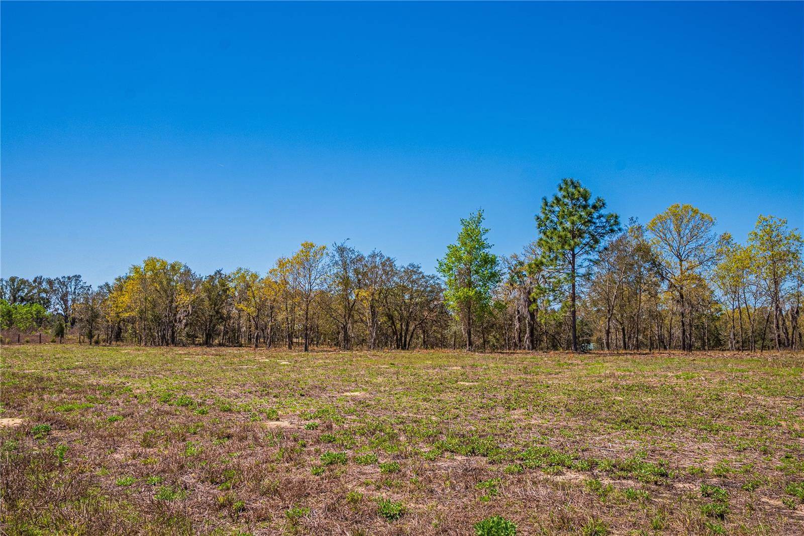 NE 118TH Terrace, Bronson, FL 32621