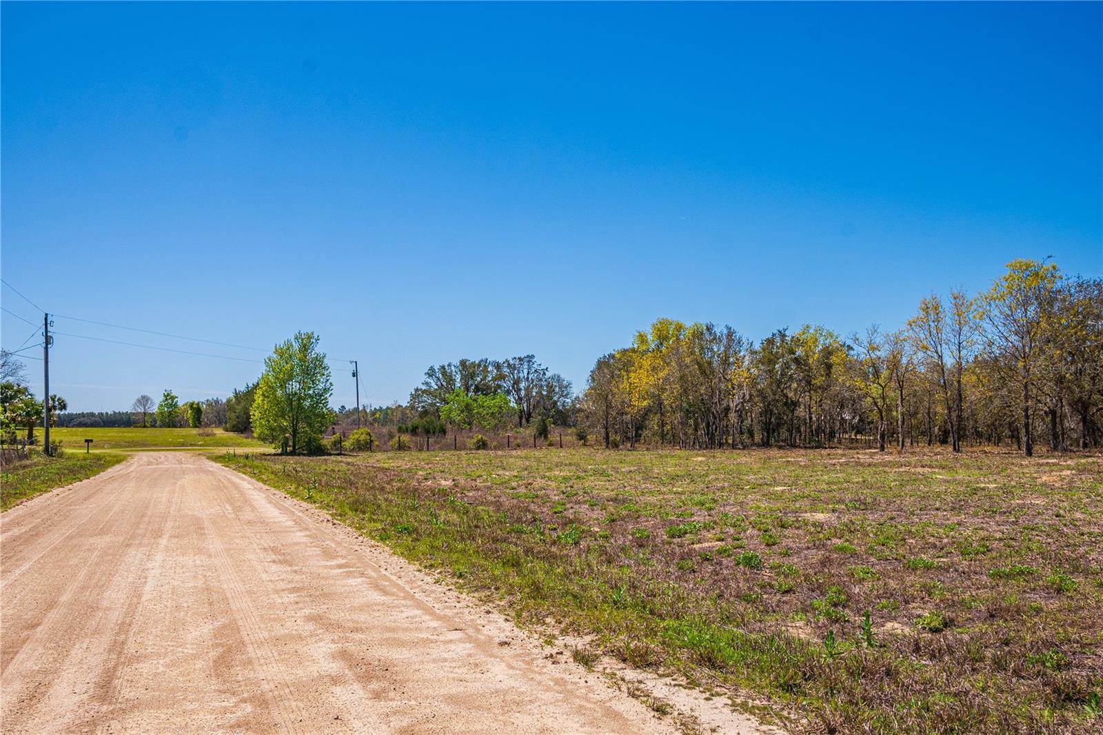 NE 118TH Terrace, Bronson, FL 32621