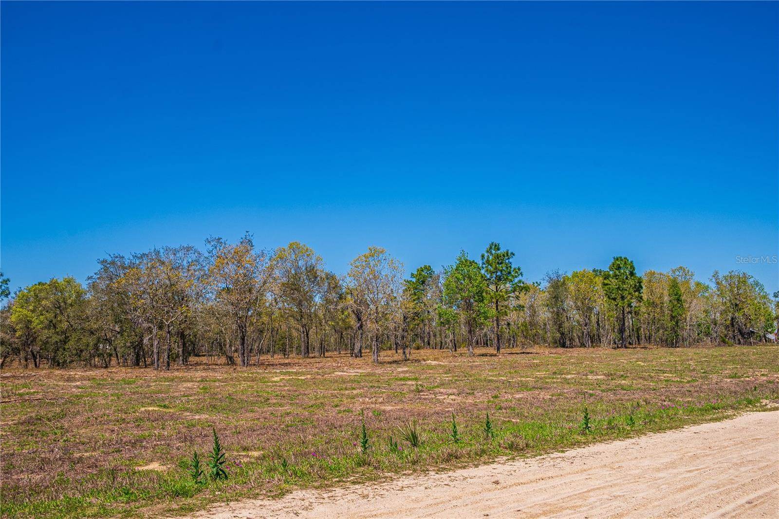 NE 118TH Terrace, Bronson, FL 32621