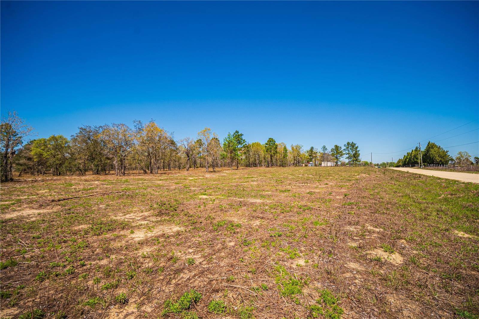 NE 118TH Terrace, Bronson, FL 32621