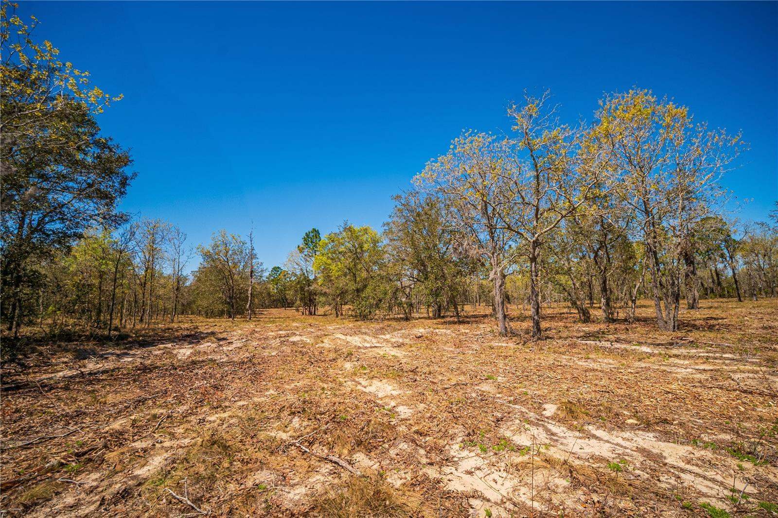 NE 118TH Terrace, Bronson, FL 32621