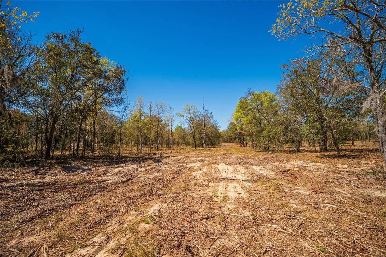 NE 118TH Terrace, Bronson, FL 32621