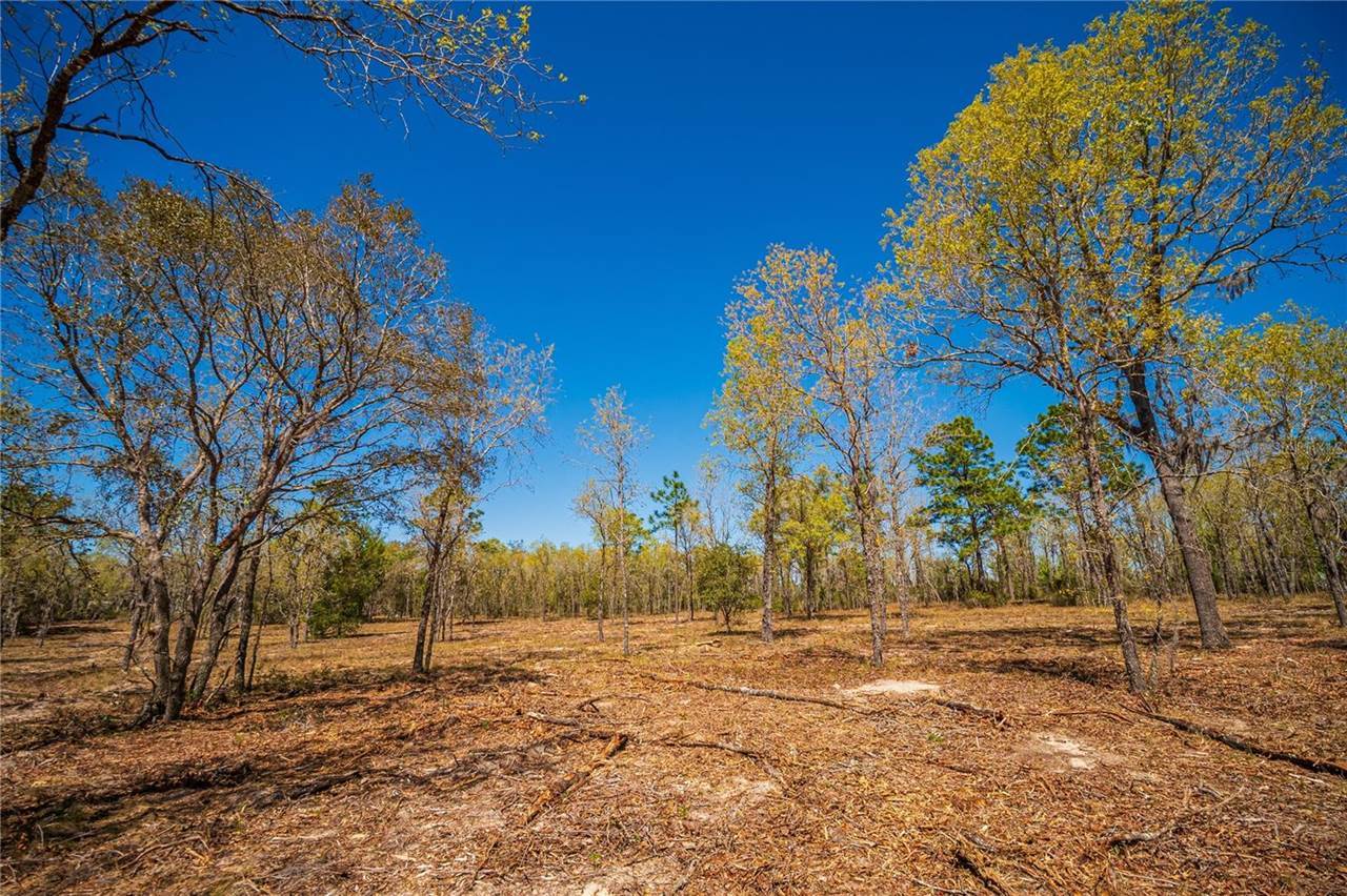 NE 118TH Terrace, Bronson, FL 32621