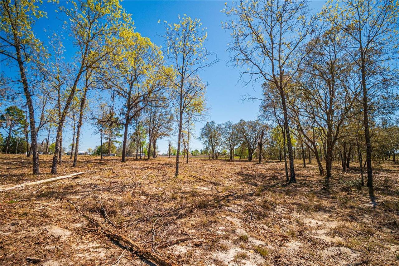 NE 118TH Terrace, Bronson, FL 32621