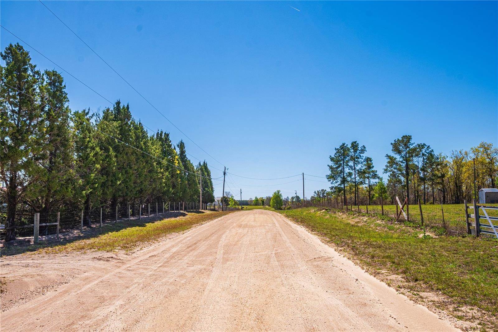 NE 118TH Terrace, Bronson, FL 32621