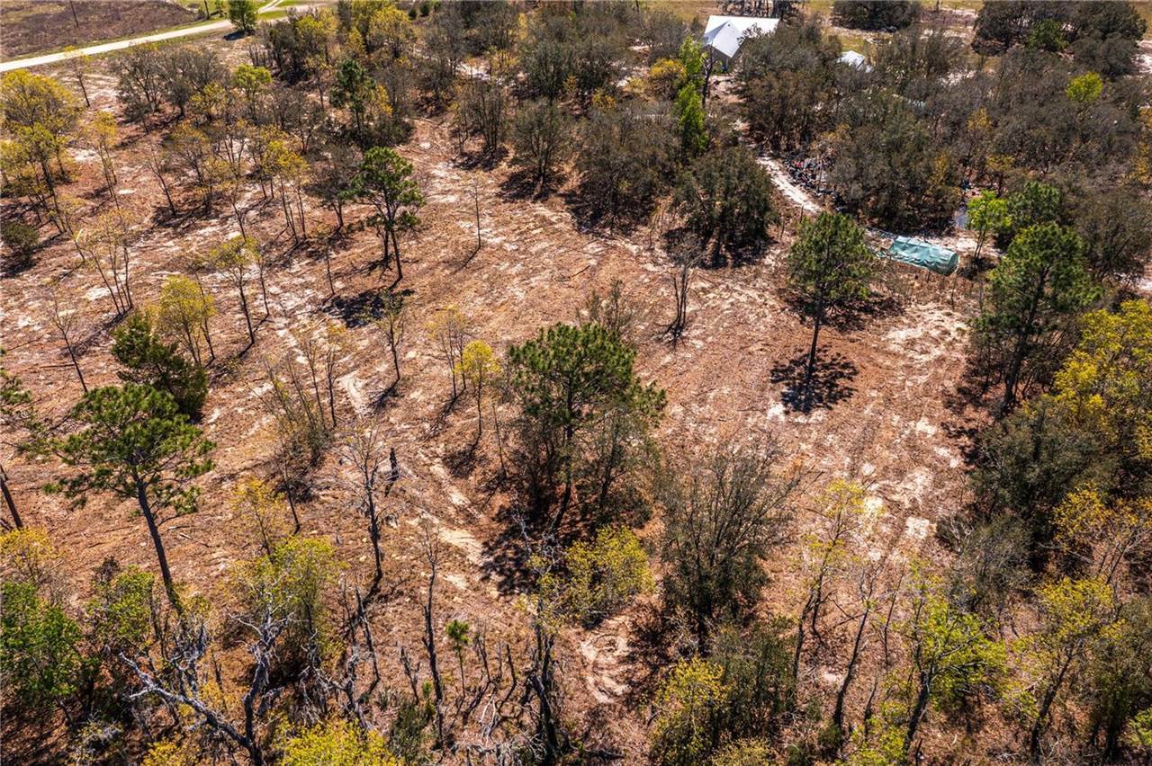 NE 118TH Terrace, Bronson, FL 32621