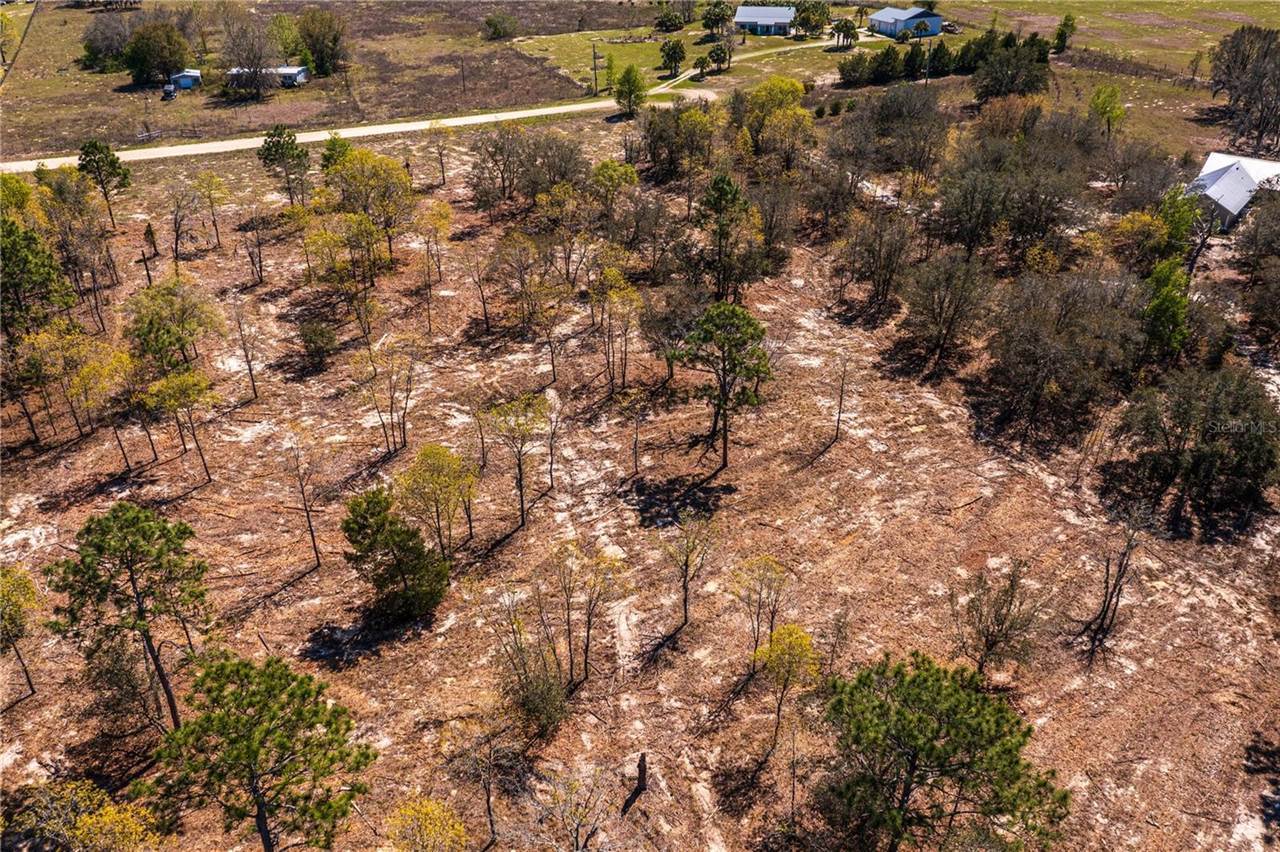 NE 118TH Terrace, Bronson, FL 32621