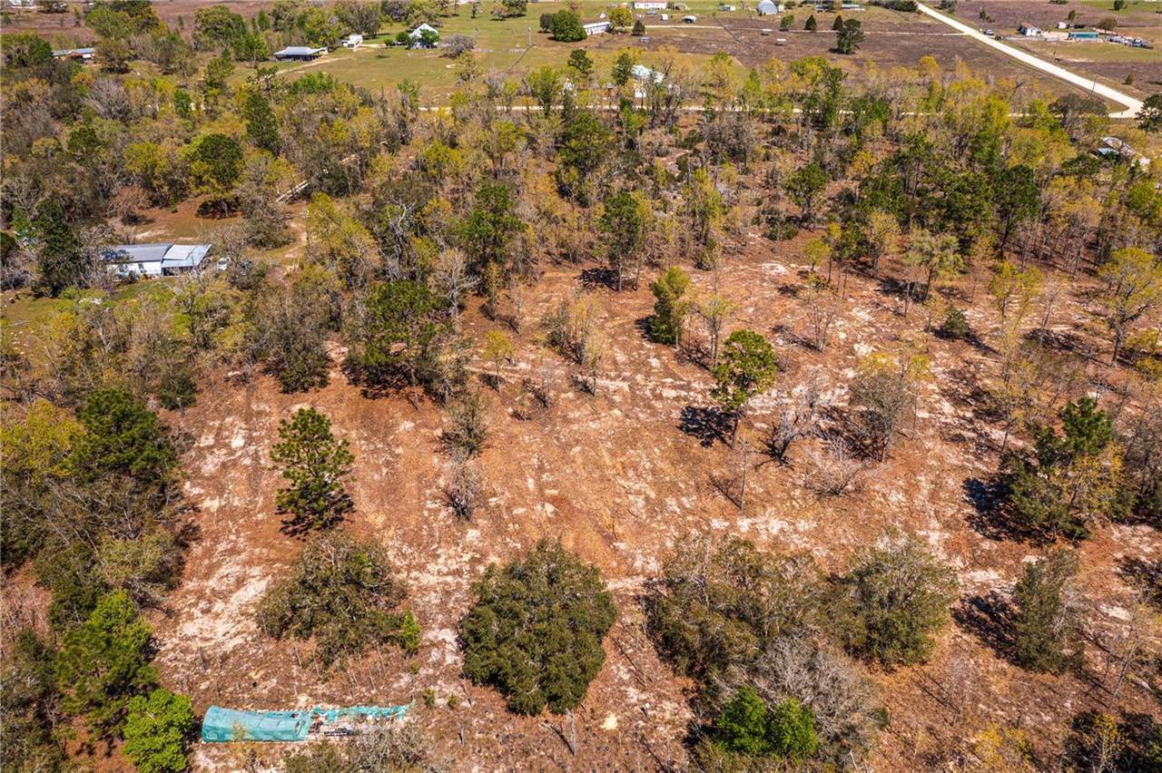 NE 118TH Terrace, Bronson, FL 32621