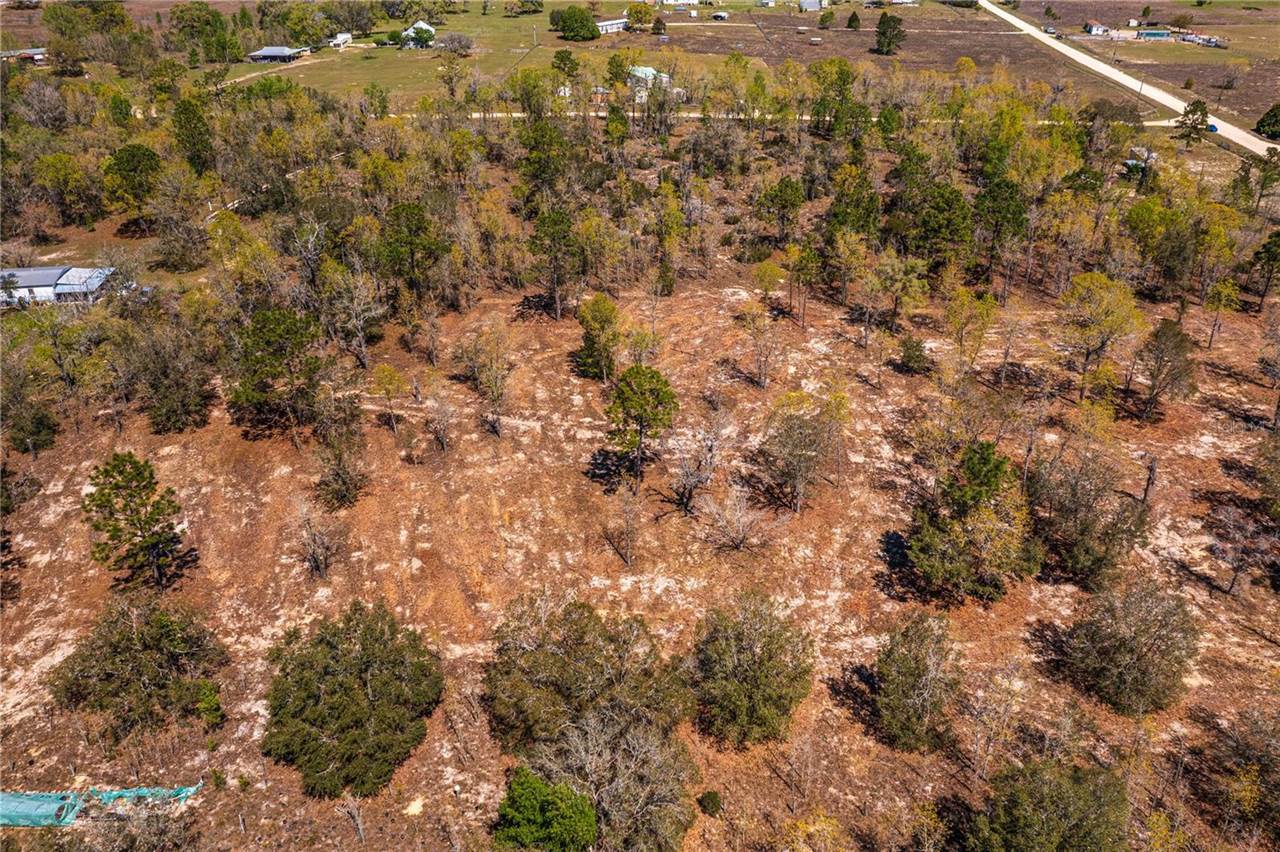 NE 118TH Terrace, Bronson, FL 32621