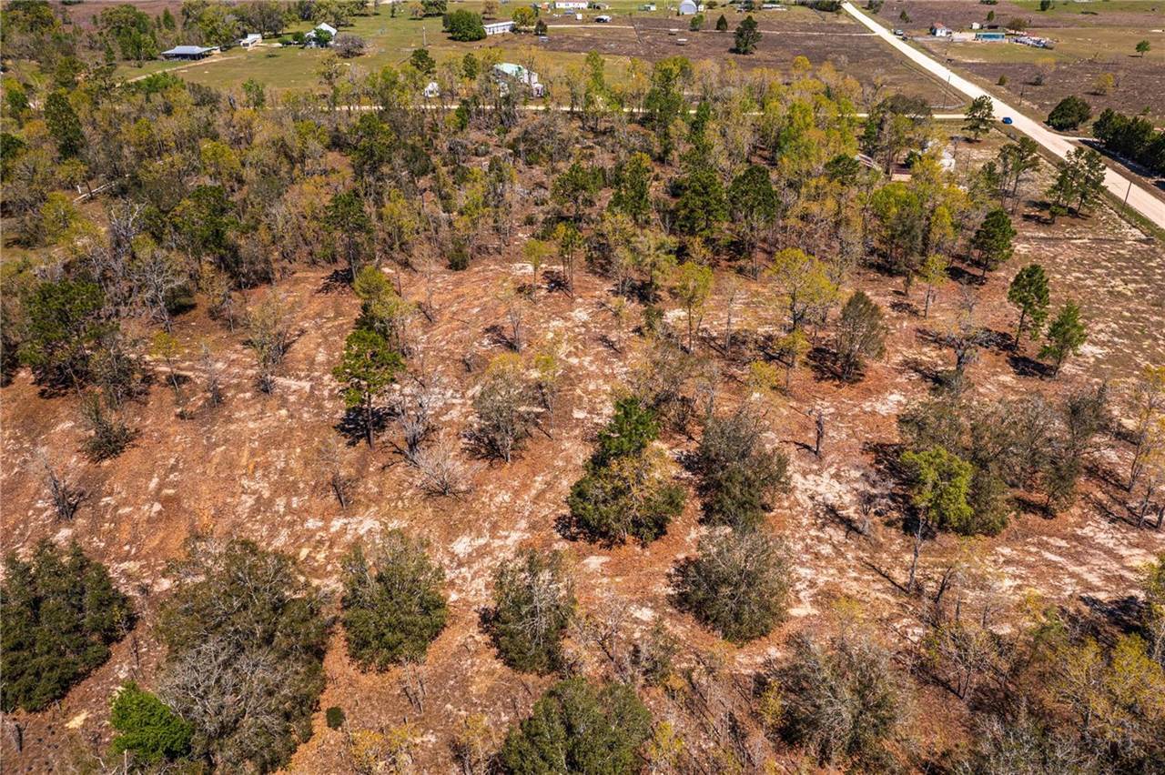 NE 118TH Terrace, Bronson, FL 32621