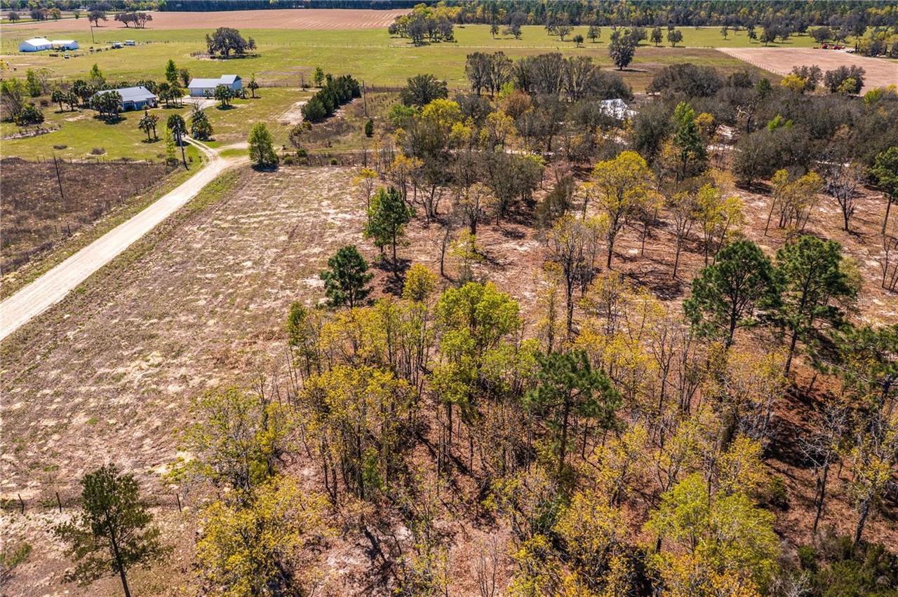 NE 118TH Terrace, Bronson, FL 32621