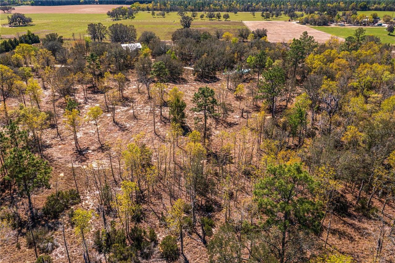 NE 118TH Terrace, Bronson, FL 32621