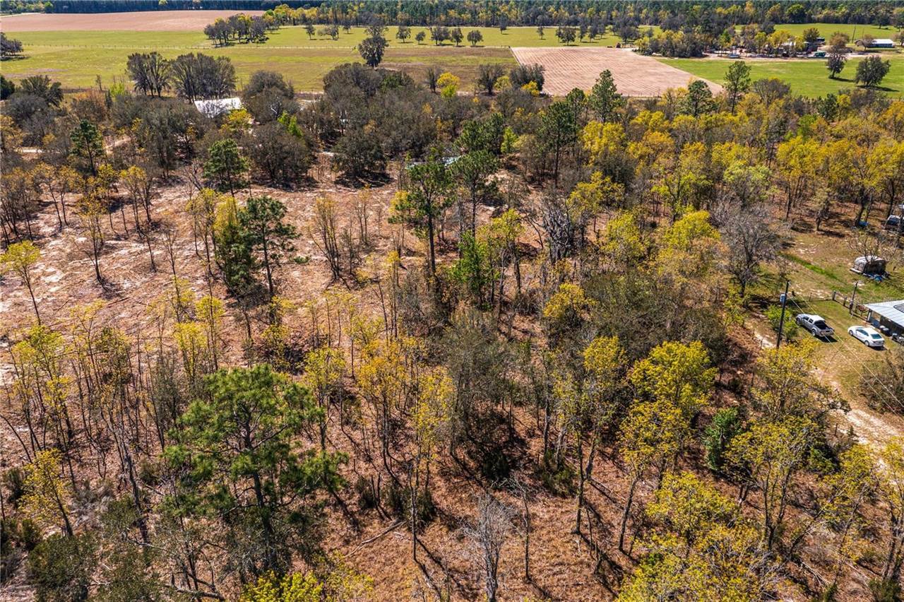 NE 118TH Terrace, Bronson, FL 32621