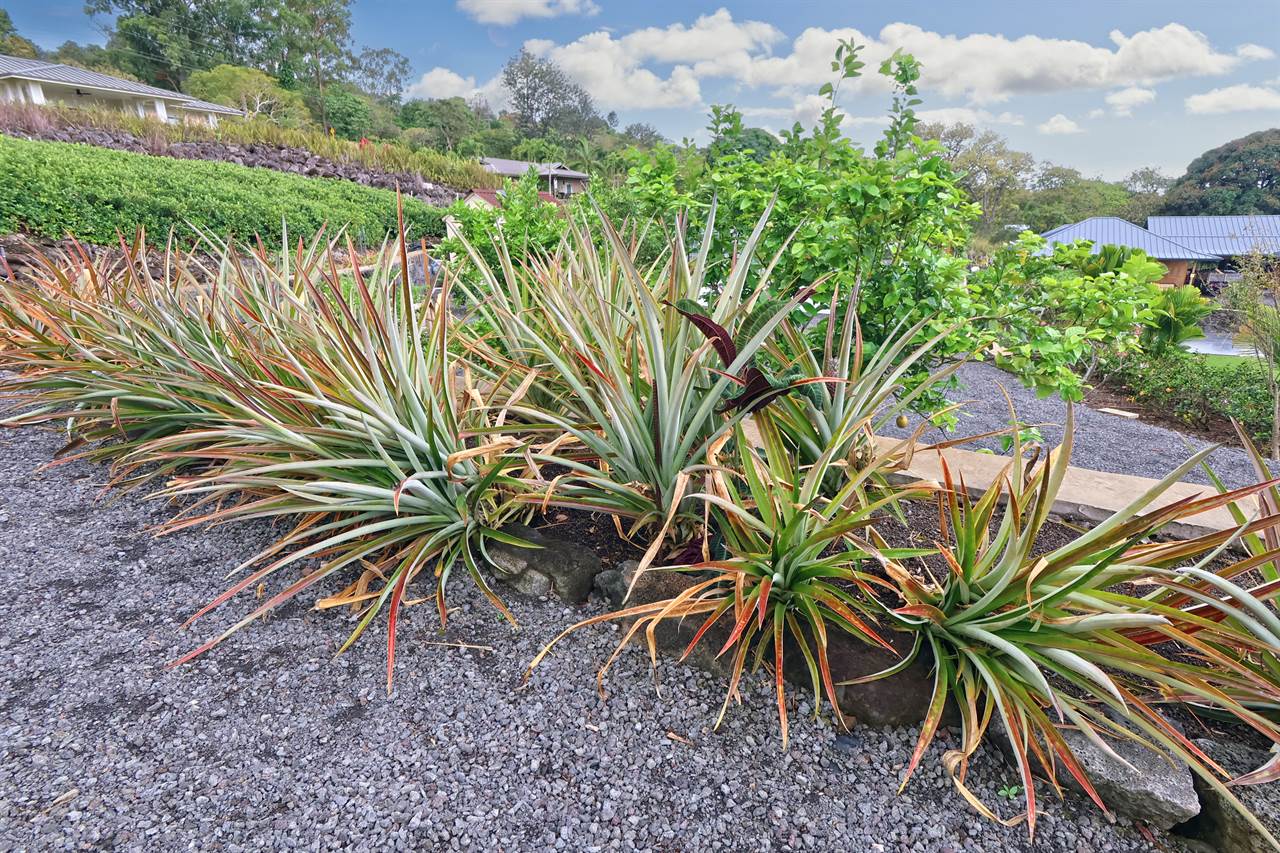 74-4730 Waiha Loop, Kailua Kona, HI 96740