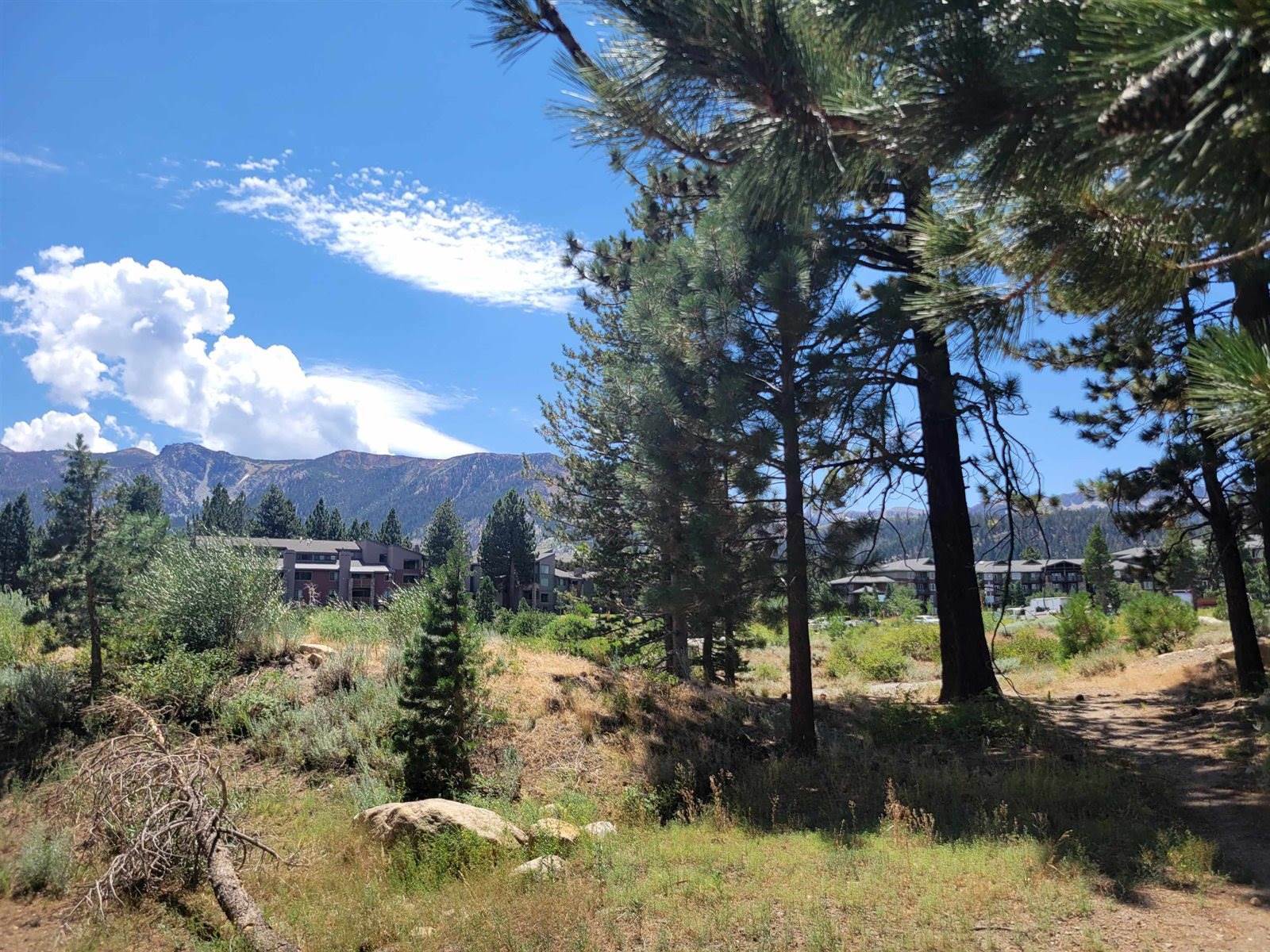 555 Monterey Pine Road, Mammoth Lakes, CA 93546