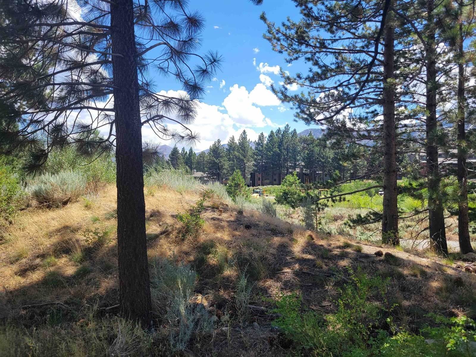 555 Monterey Pine Road, Mammoth Lakes, CA 93546