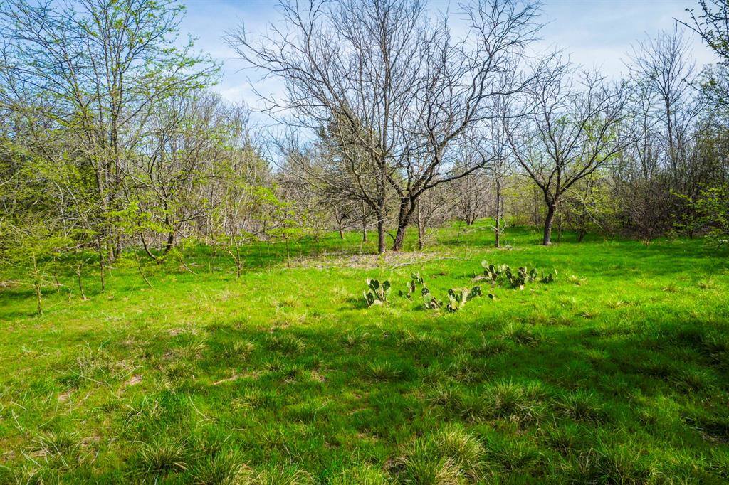 LOT 5 - TBD North Oak Branch Road, Waxahachie, TX 75167