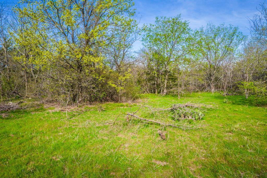 LOT 5 - TBD North Oak Branch Road, Waxahachie, TX 75167