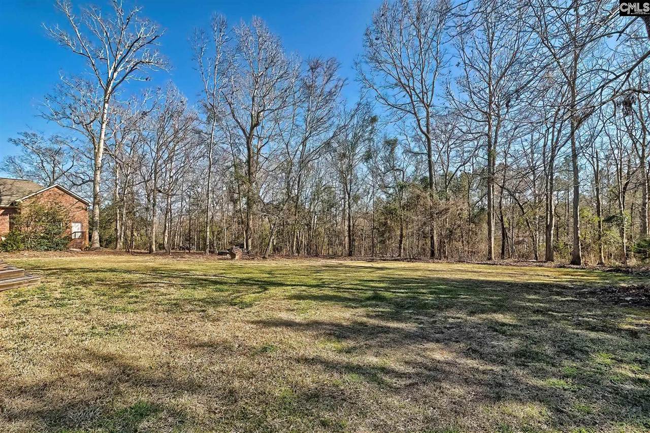437 Caro, Chapin, SC 29036