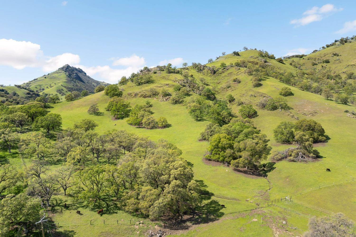 5065 Kellogg Road, Sutter, CA 95982