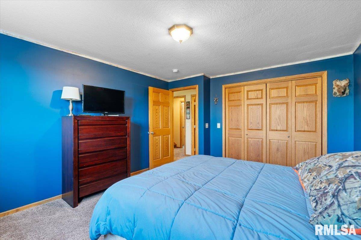 1506 17TH Street, De Witt, IA 52742