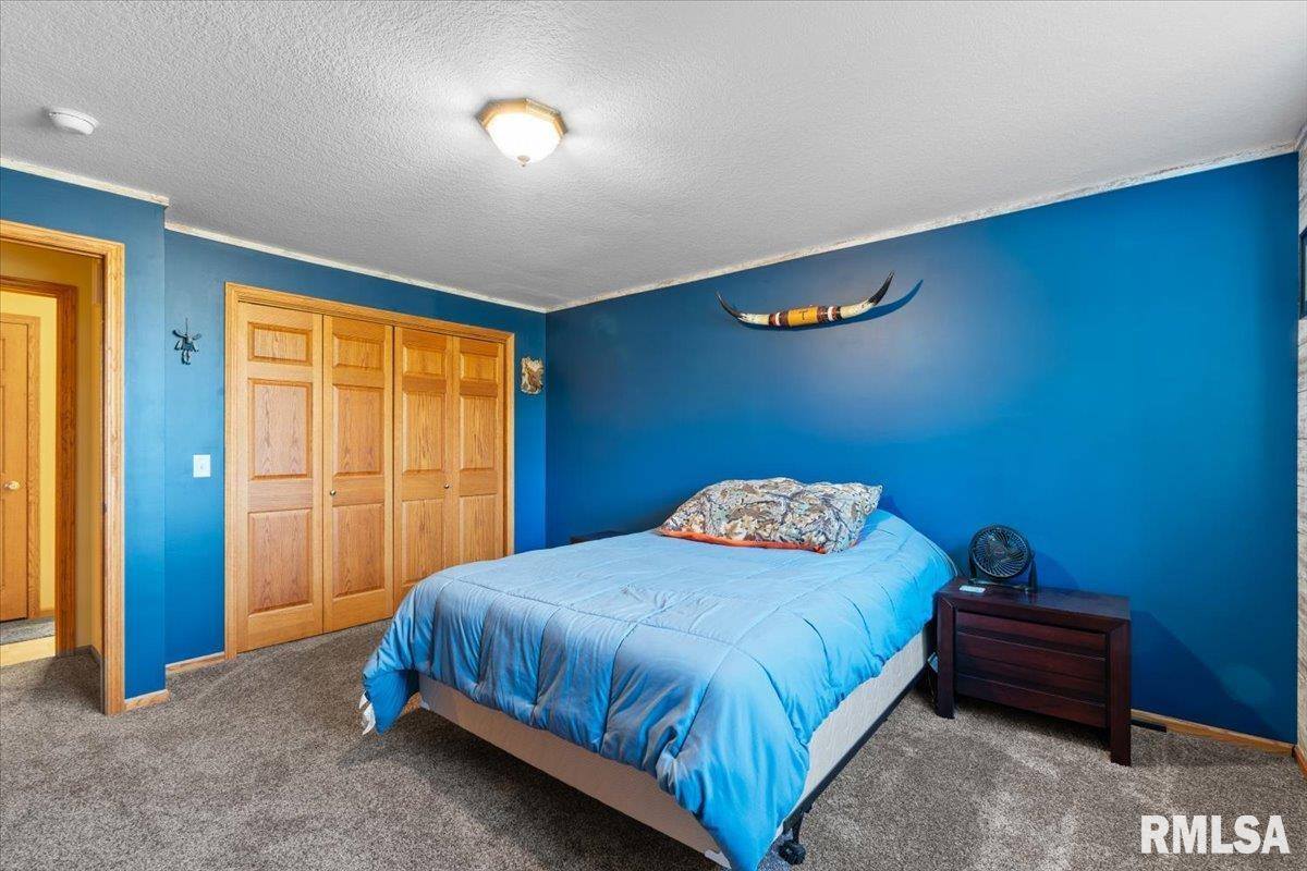 1506 17TH Street, De Witt, IA 52742