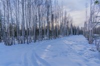 1245 Aztec Road, North Pole, AK 99705