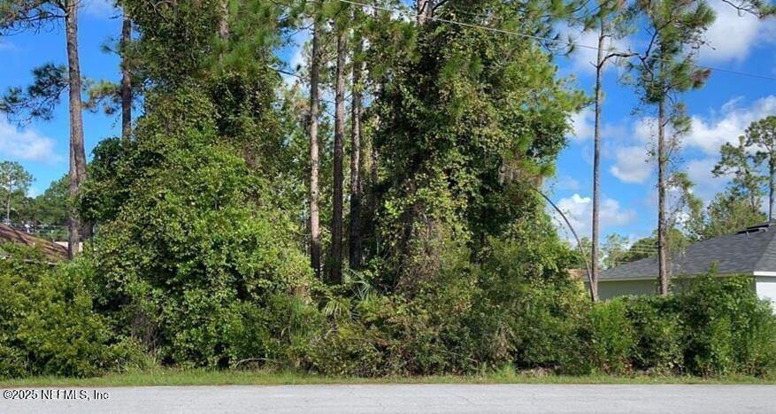 3 Ryarbor Drive, Palm Coast, FL 32164