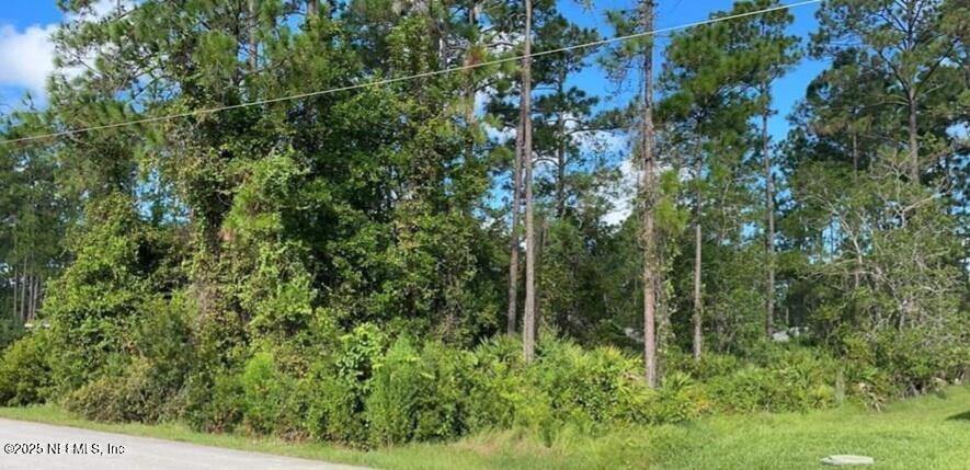 3 Ryarbor Drive, Palm Coast, FL 32164