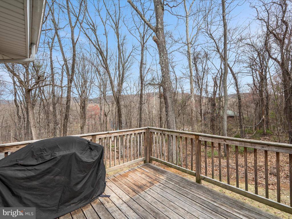 350 Evergreen Lane, Bluemont, VA 20135