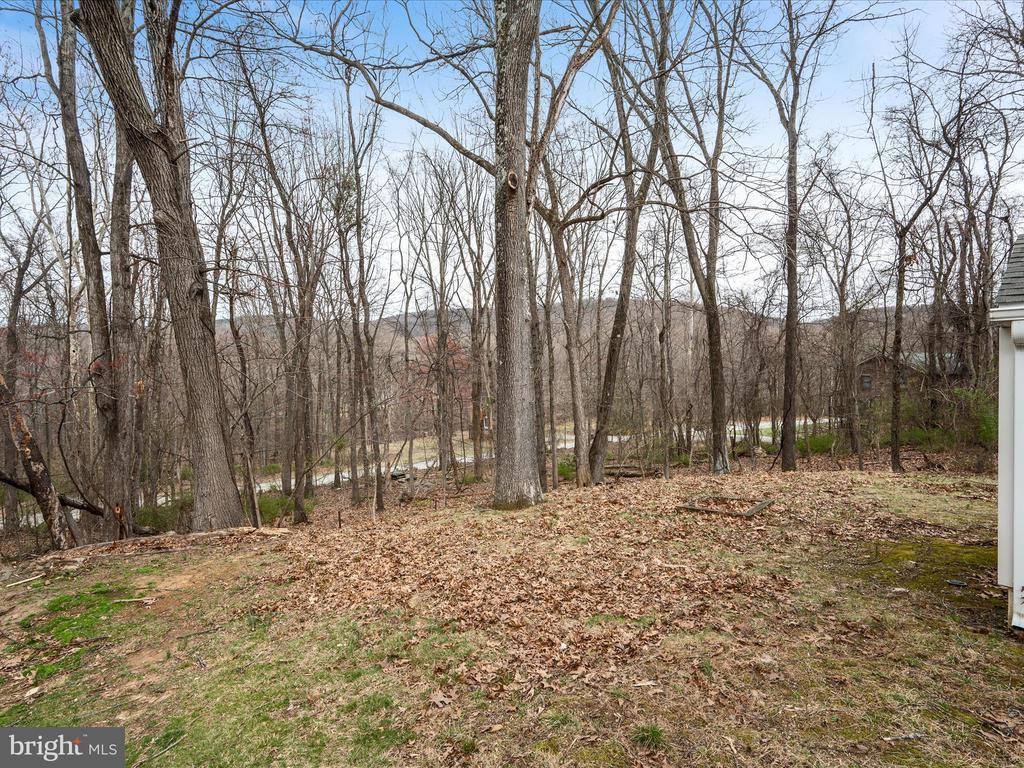 350 Evergreen Lane, Bluemont, VA 20135
